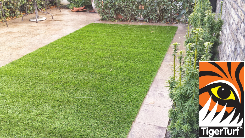 Synthetic grass in front lawn 27.jpg