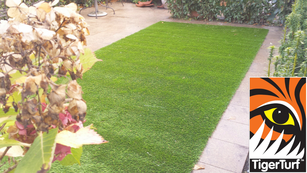 Synthetic grass in front lawn 21.jpg