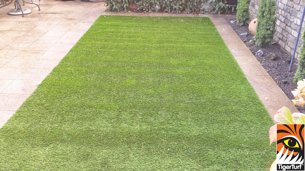 Synthetic grass in front lawn 13.jpg