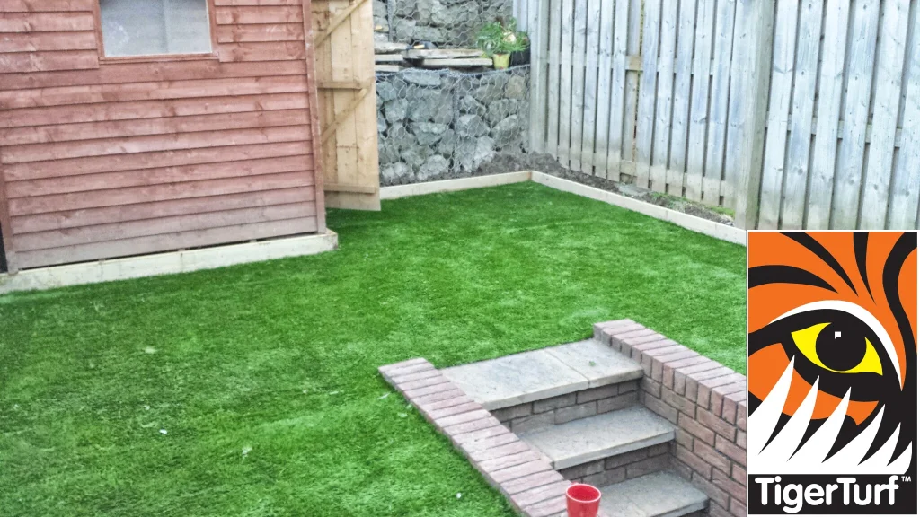 Synthetic grass in front lawn 9.jpg