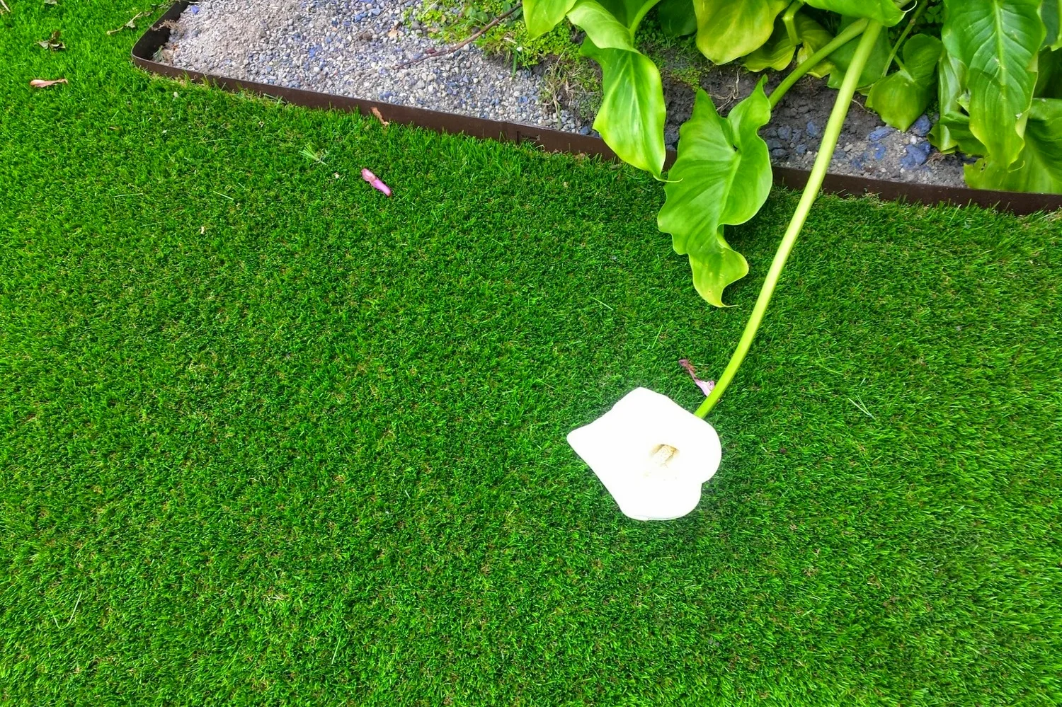 20140605_135213.jpg