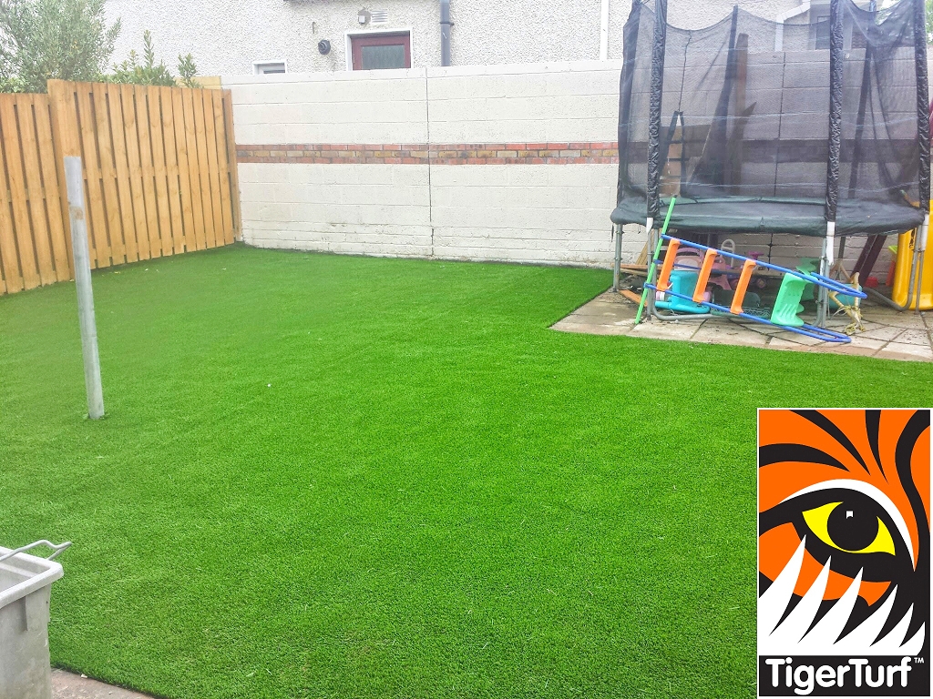 Synthetic grass in front lawn 6.jpg