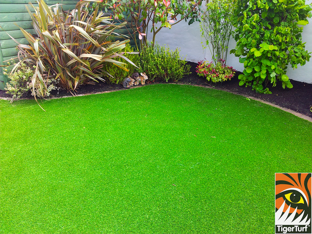 tigerturf lawn turf 841.jpg