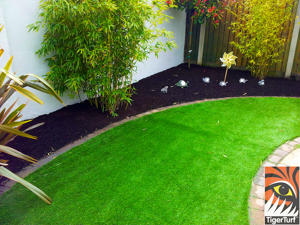 tigerturf lawn turf 843.jpg