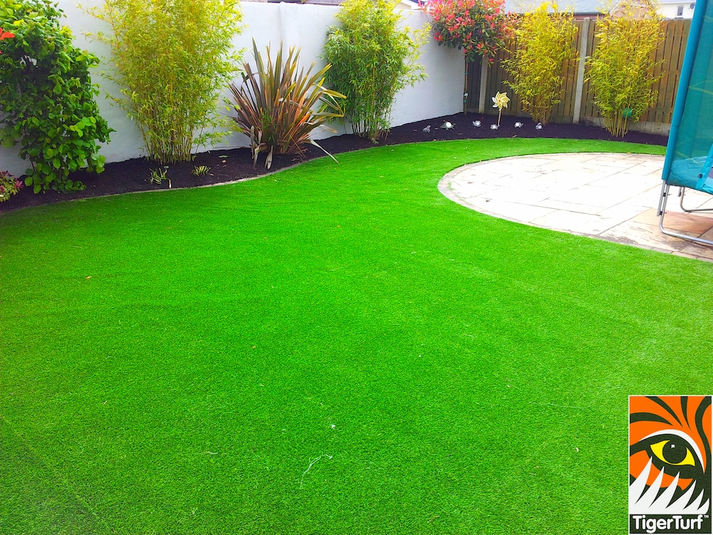 tigerturf lawn turf 839.jpg