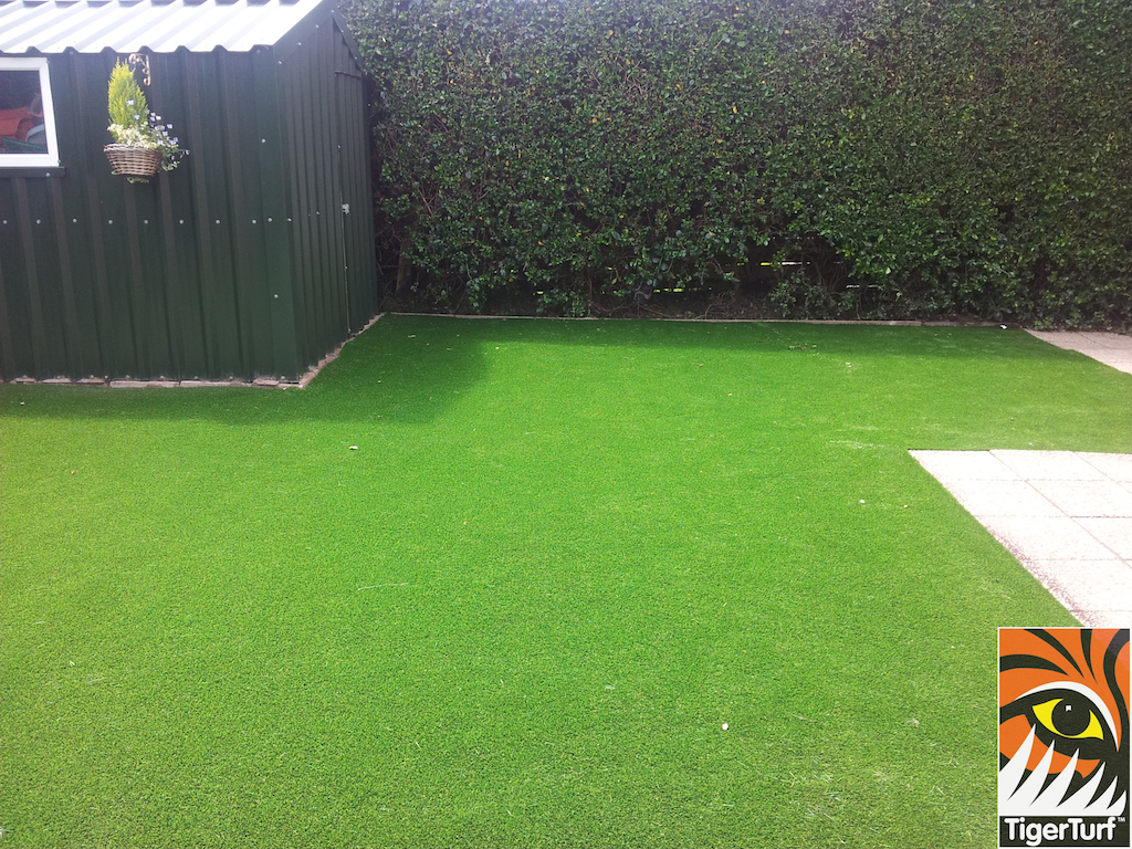 tigerturf lawn turf 816.jpg