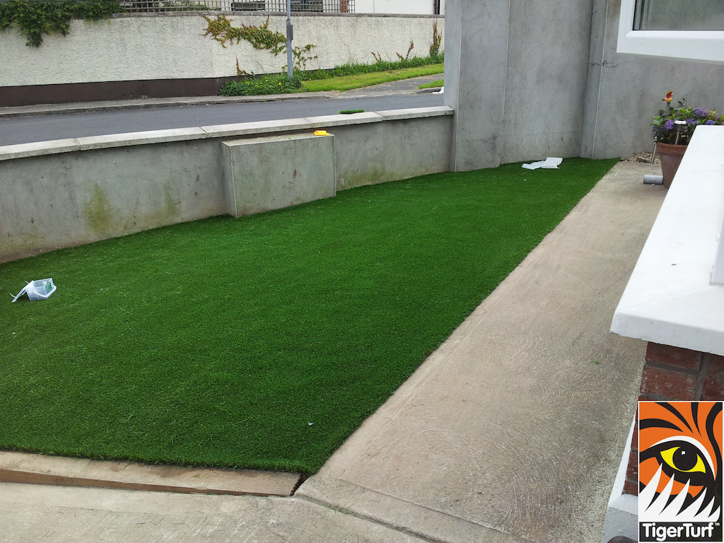 tigerturf lawn turf 822.jpg