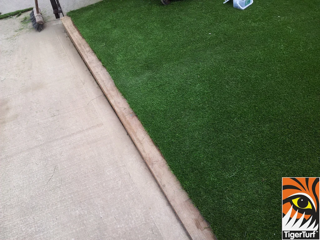 tigerturf lawn turf 820.jpg