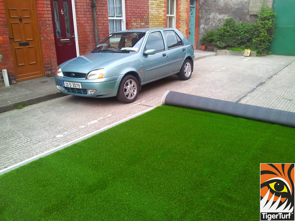 car and grass outside house