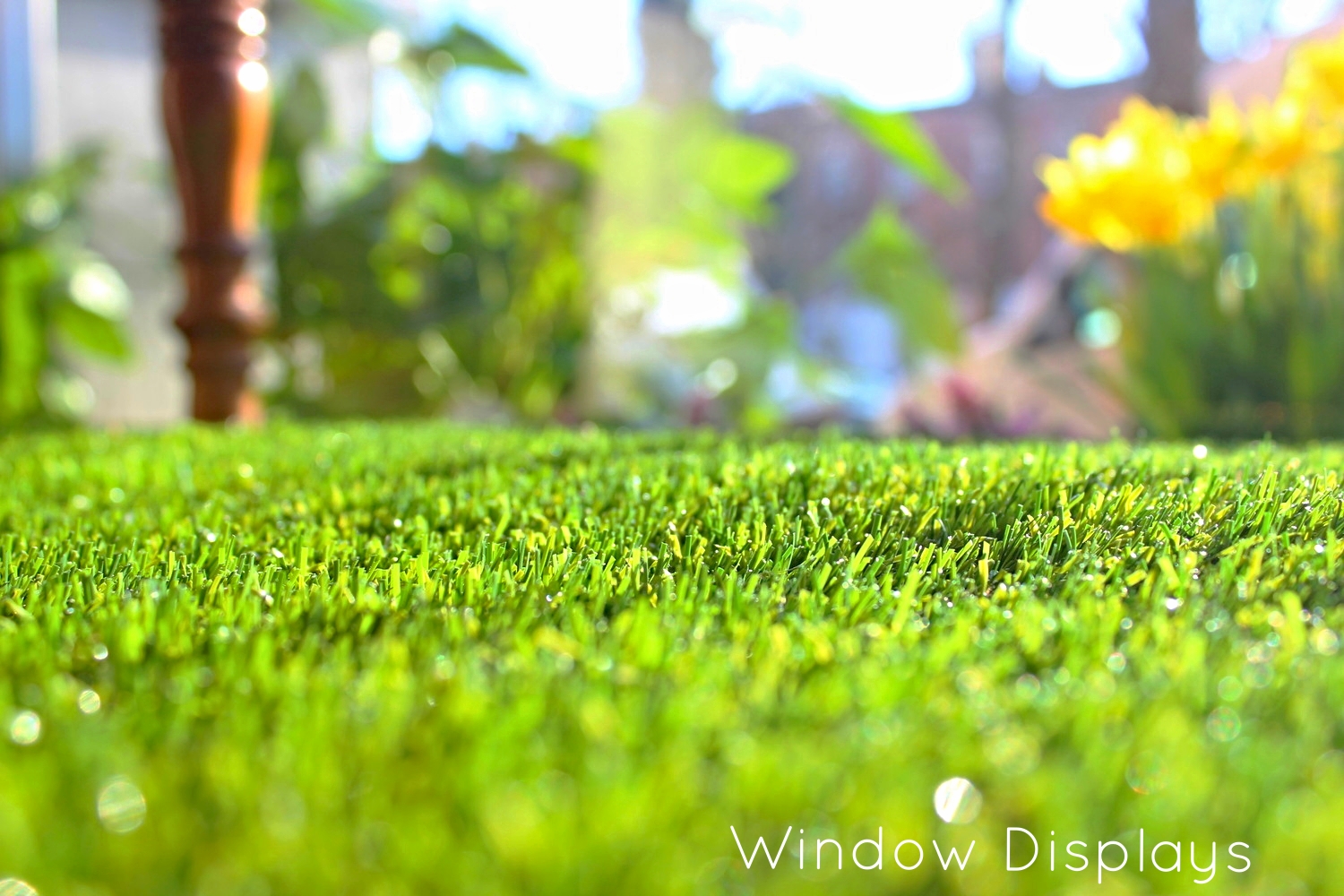 window display grass