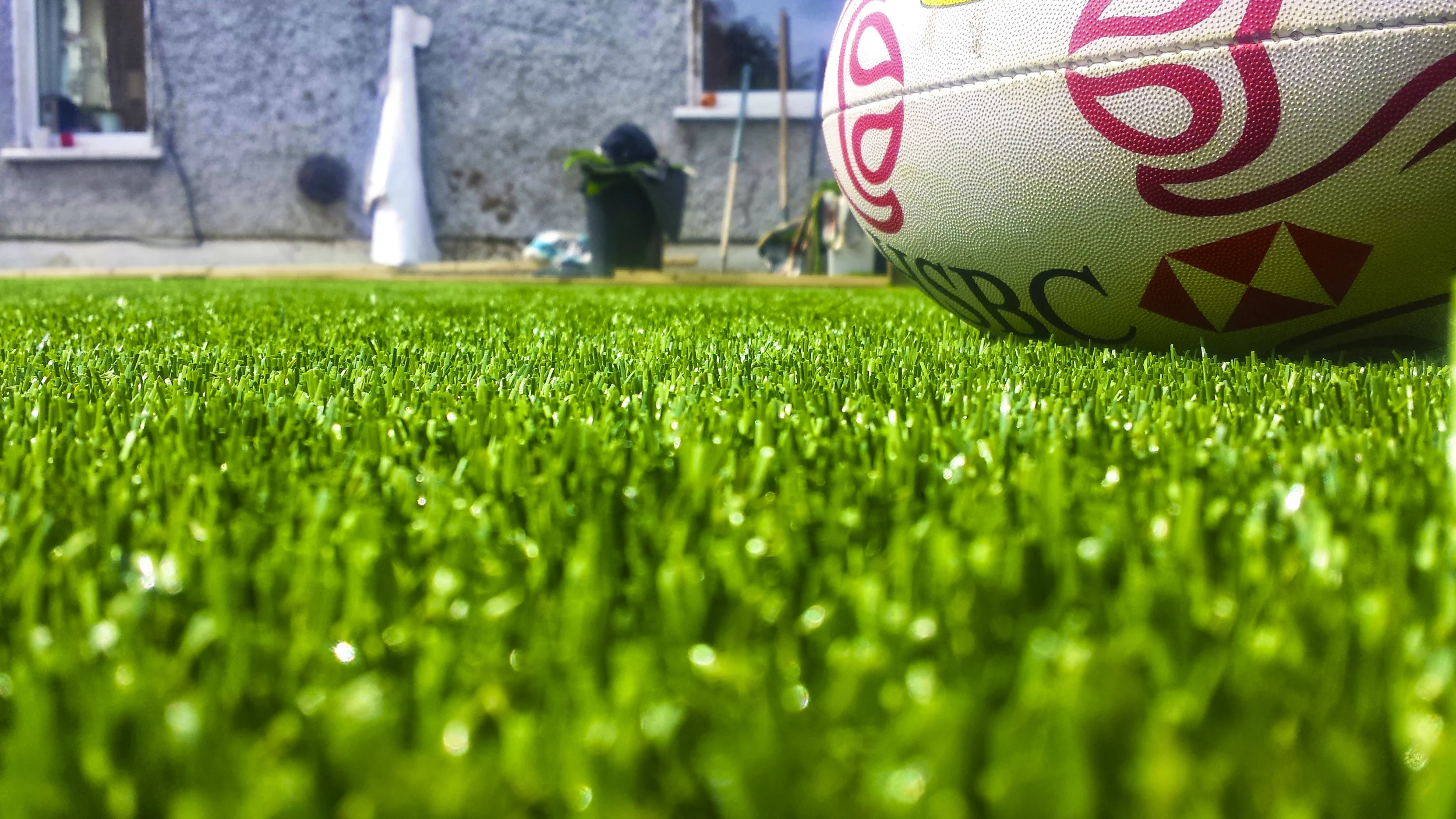 Sporting Garden