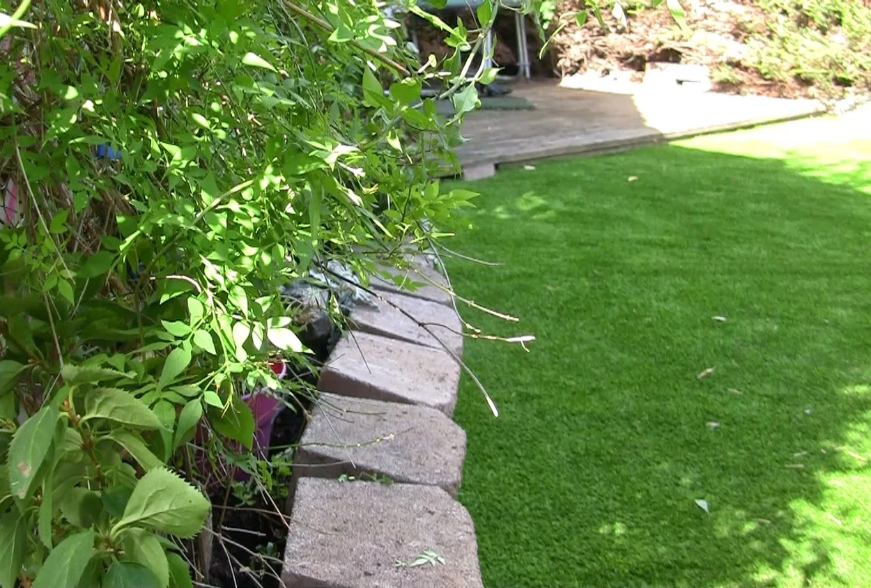 Garden Transformation