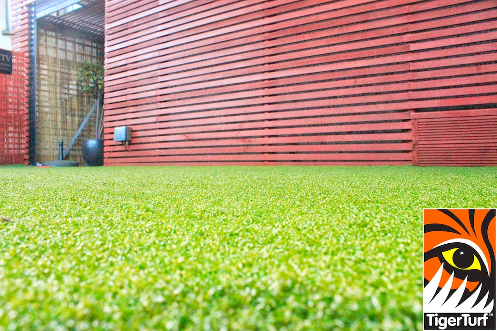 Synthetic grass in front lawn 67.jpg