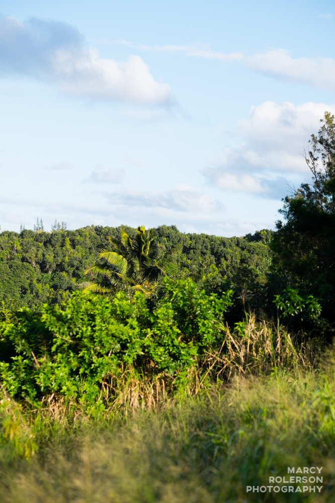 Hawaii_Maui_Paia-120.jpg