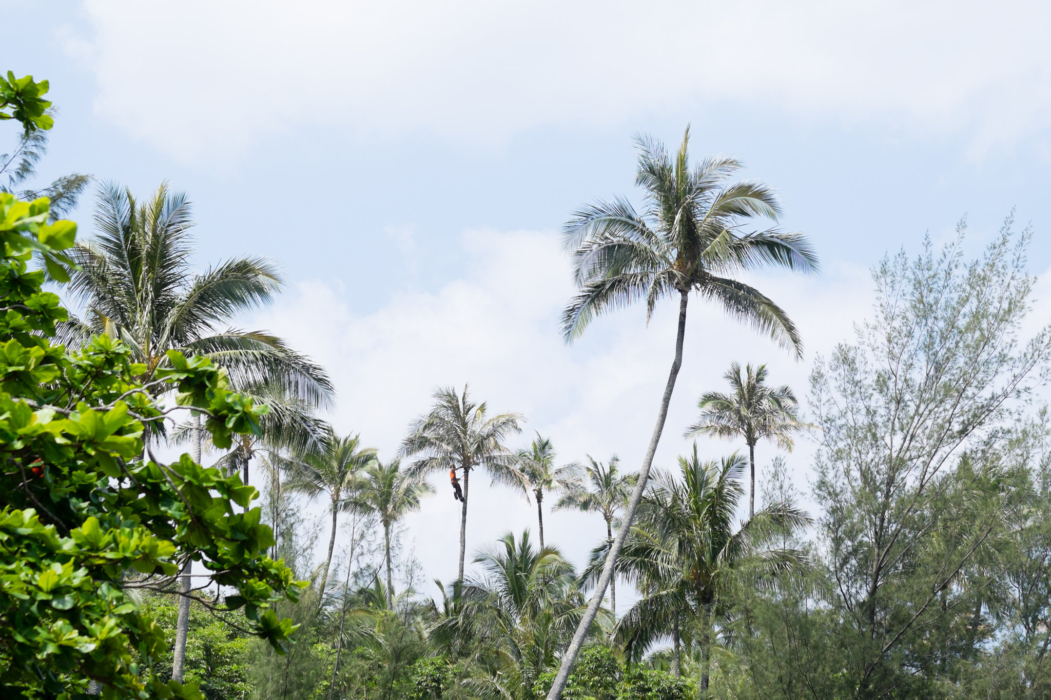 Kauai_8.jpg