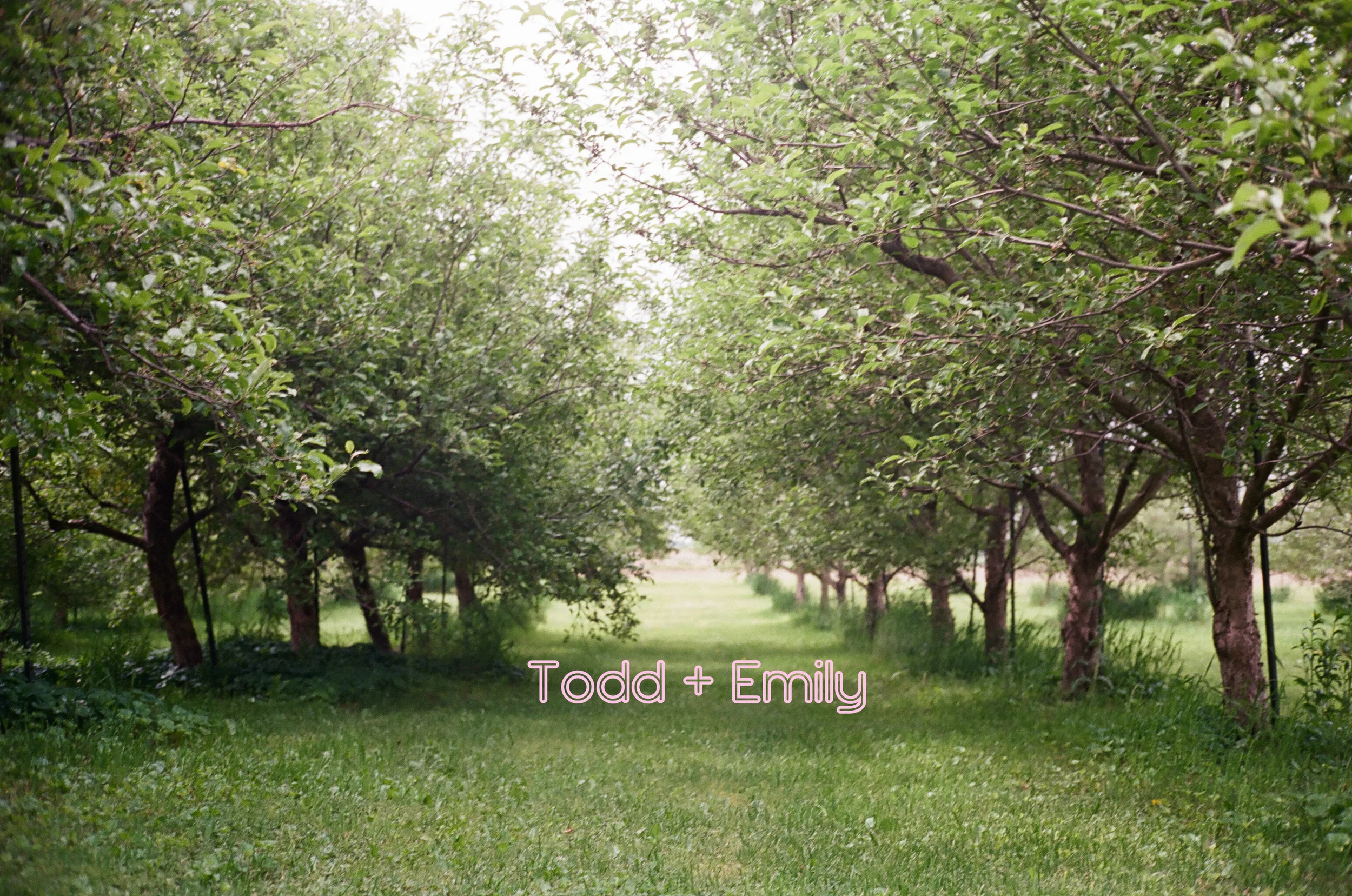 Todd_Emily_Sutliff_Cider_Wedding_Iowa.jpg