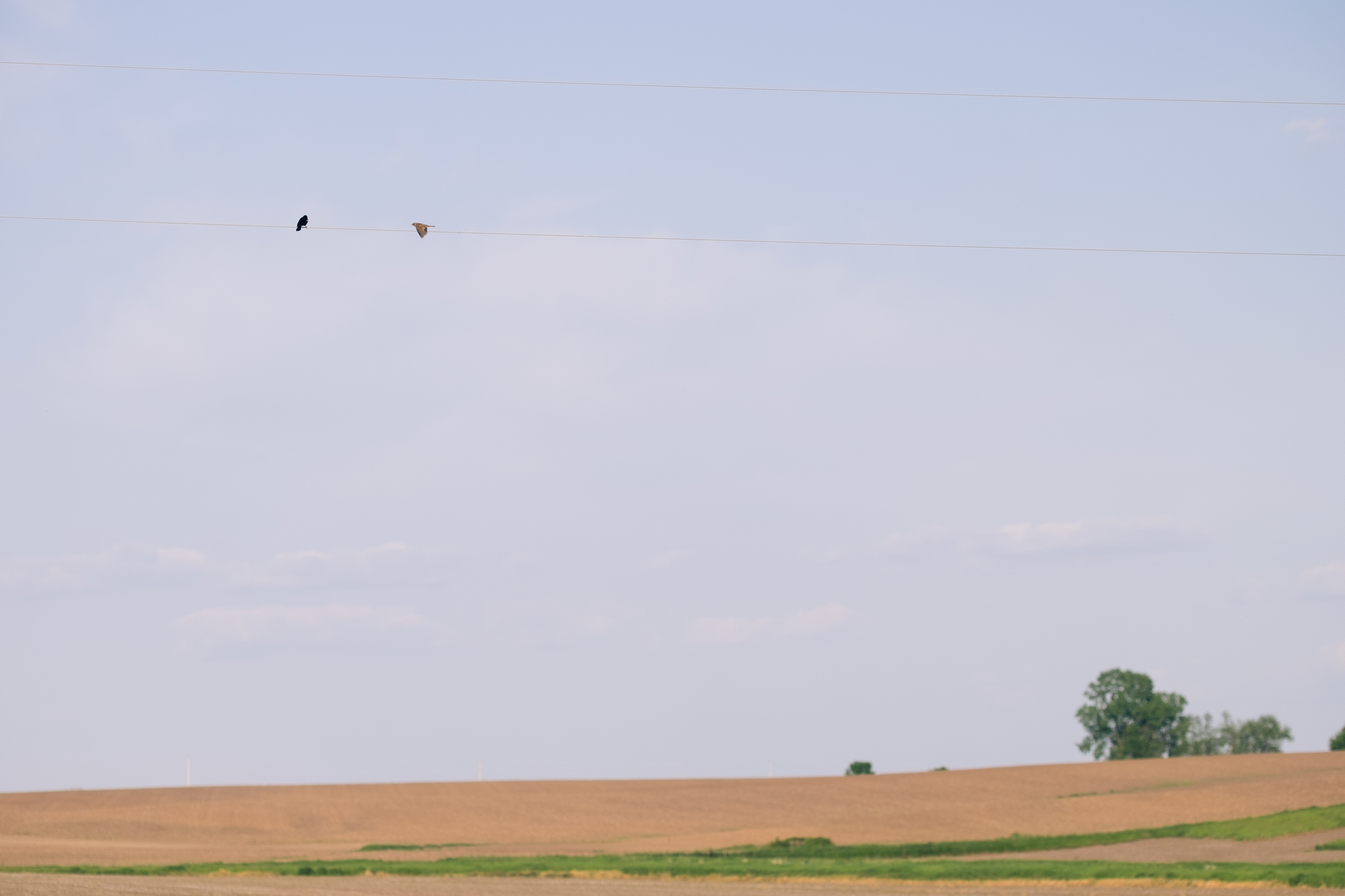 Todd_Emily_Sutliff_Wedding_Iowa-72.jpg