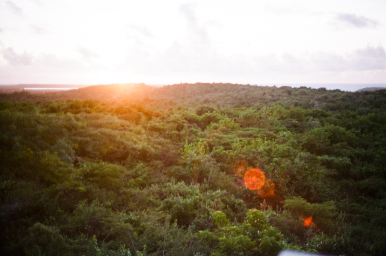 Vieques-2.jpg