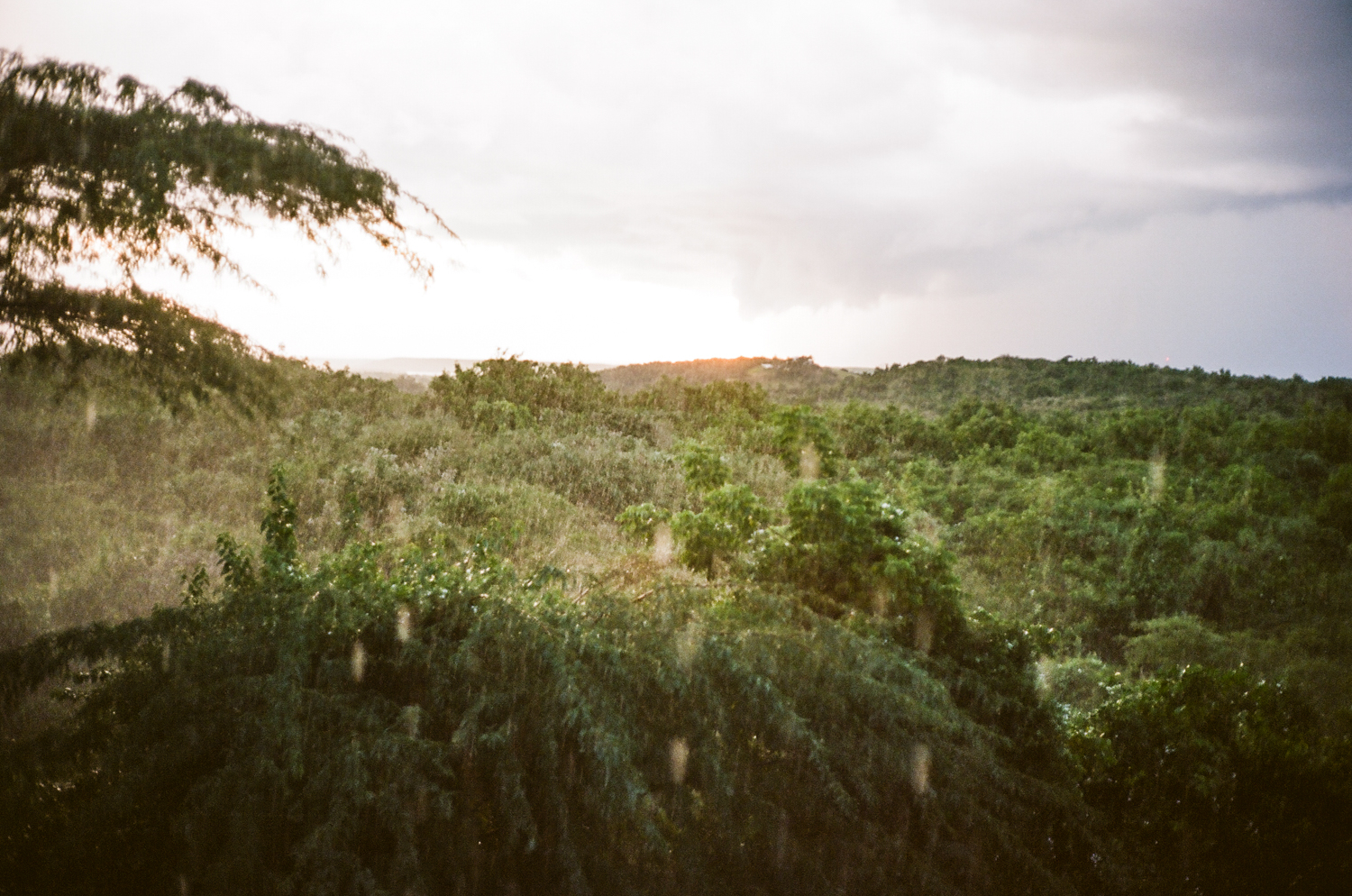 Vieques-4.jpg