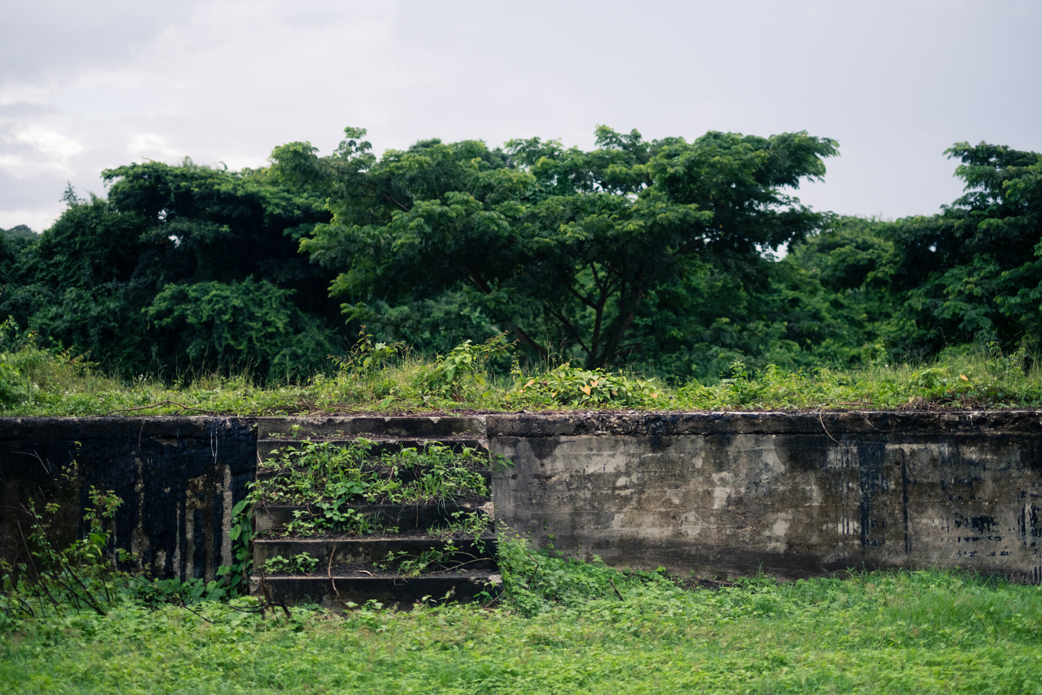 Vieques-19.jpg