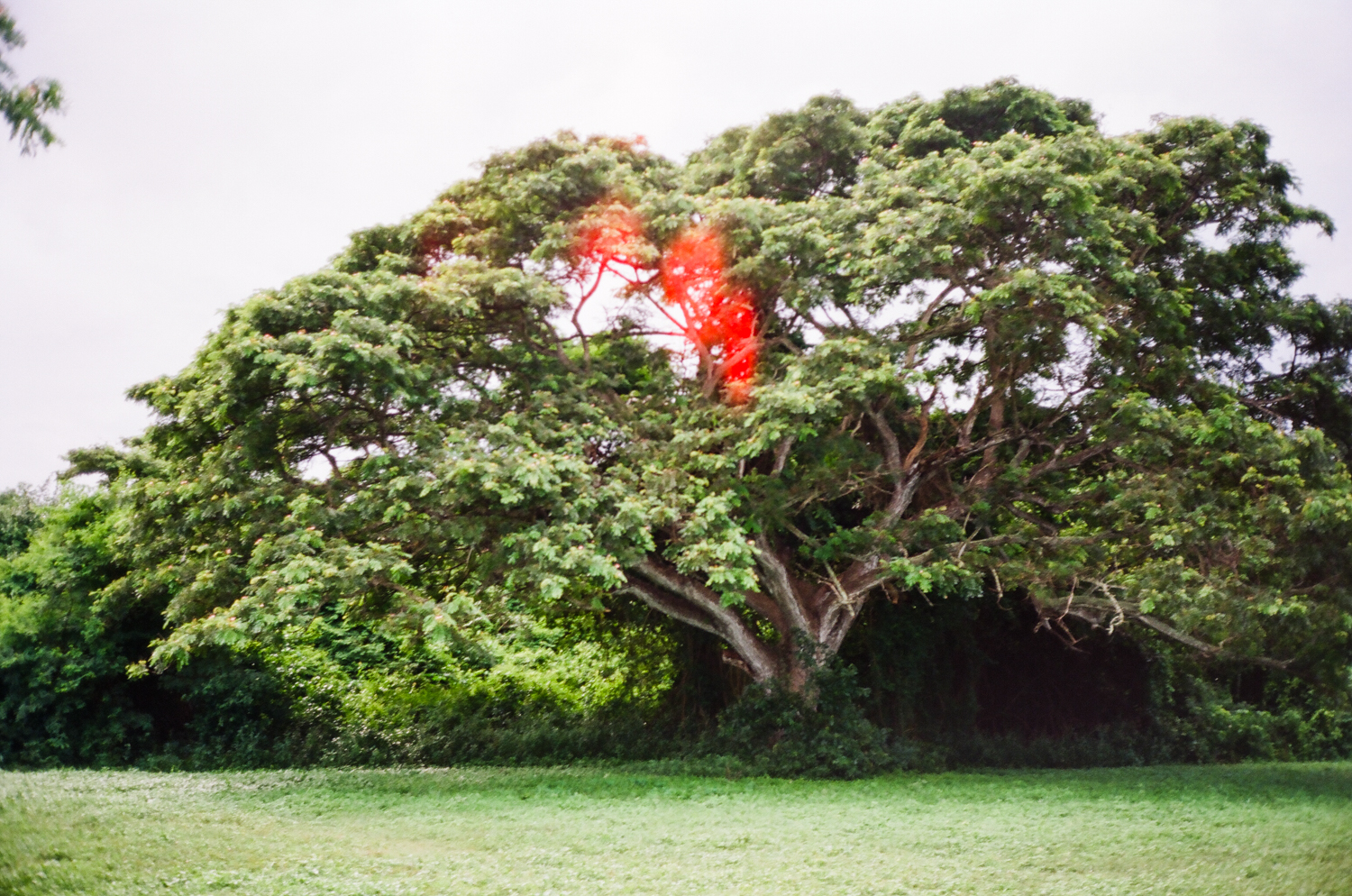 Vieques-20.jpg