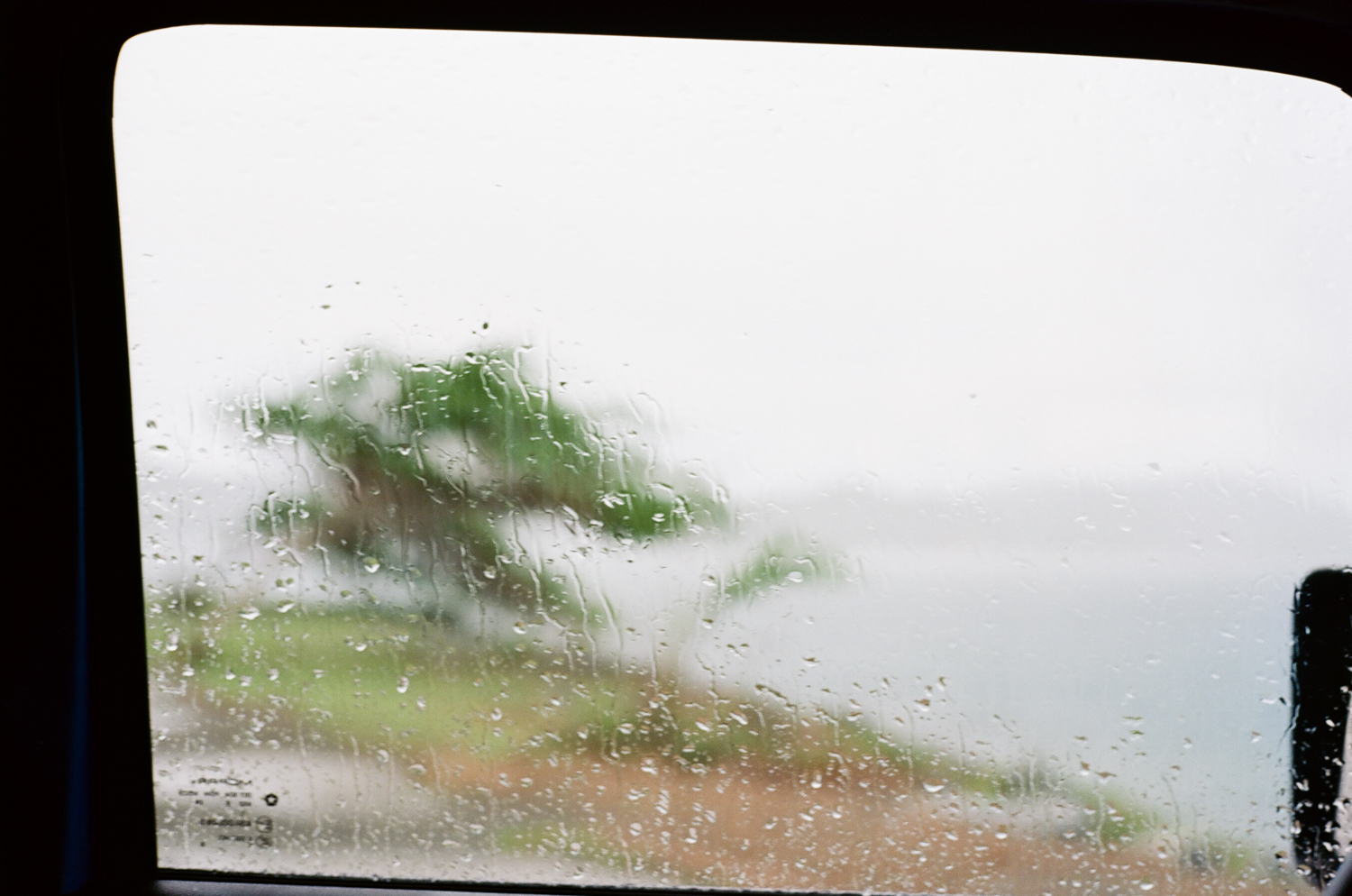Vieques-56.jpg