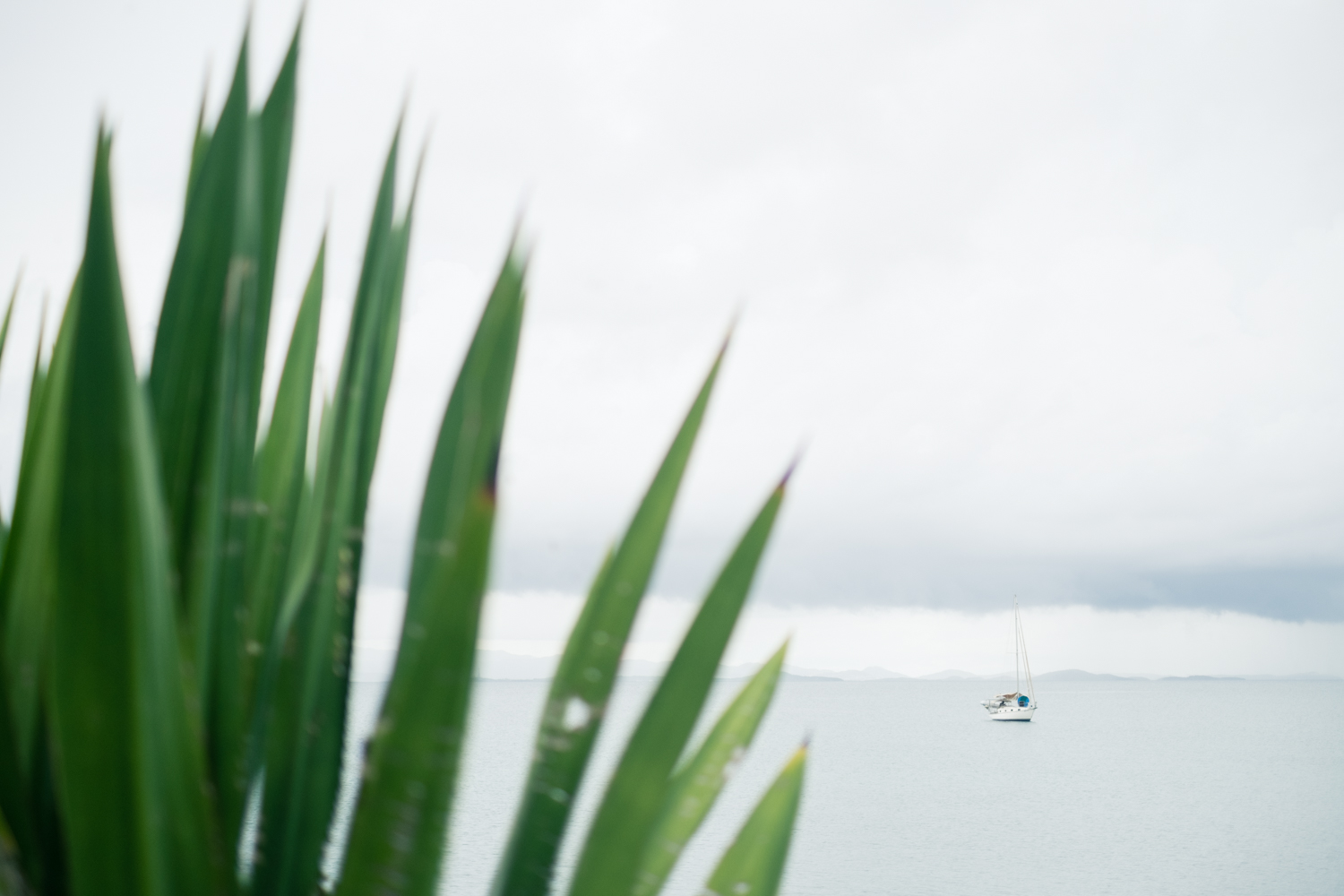 Vieques-59.jpg
