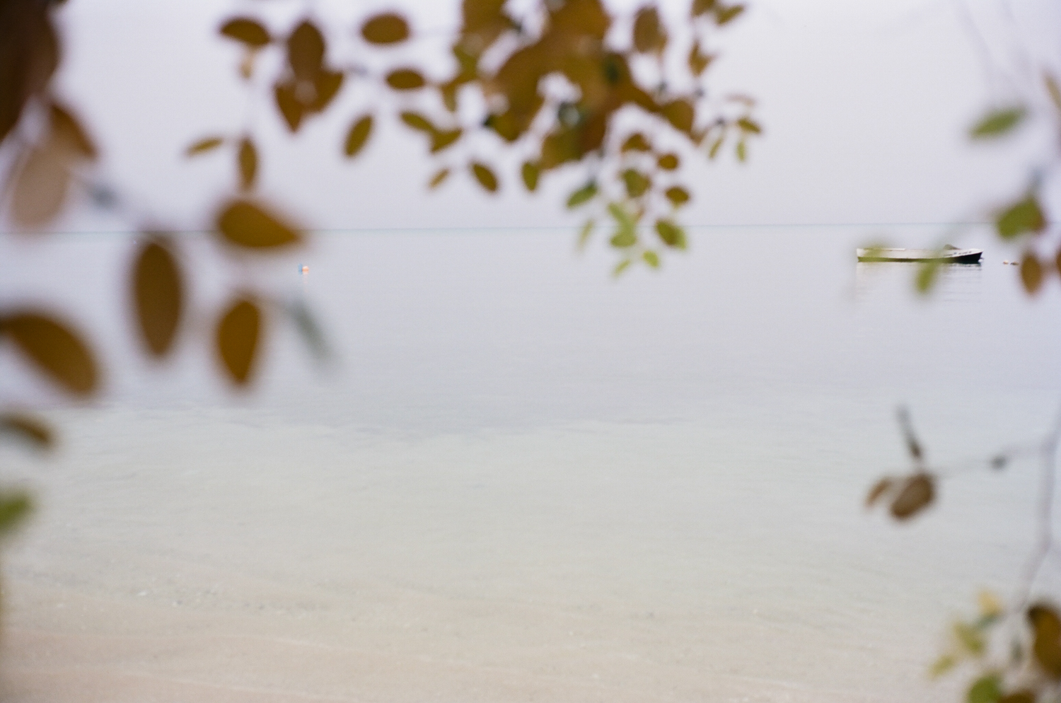 Vieques-61.jpg