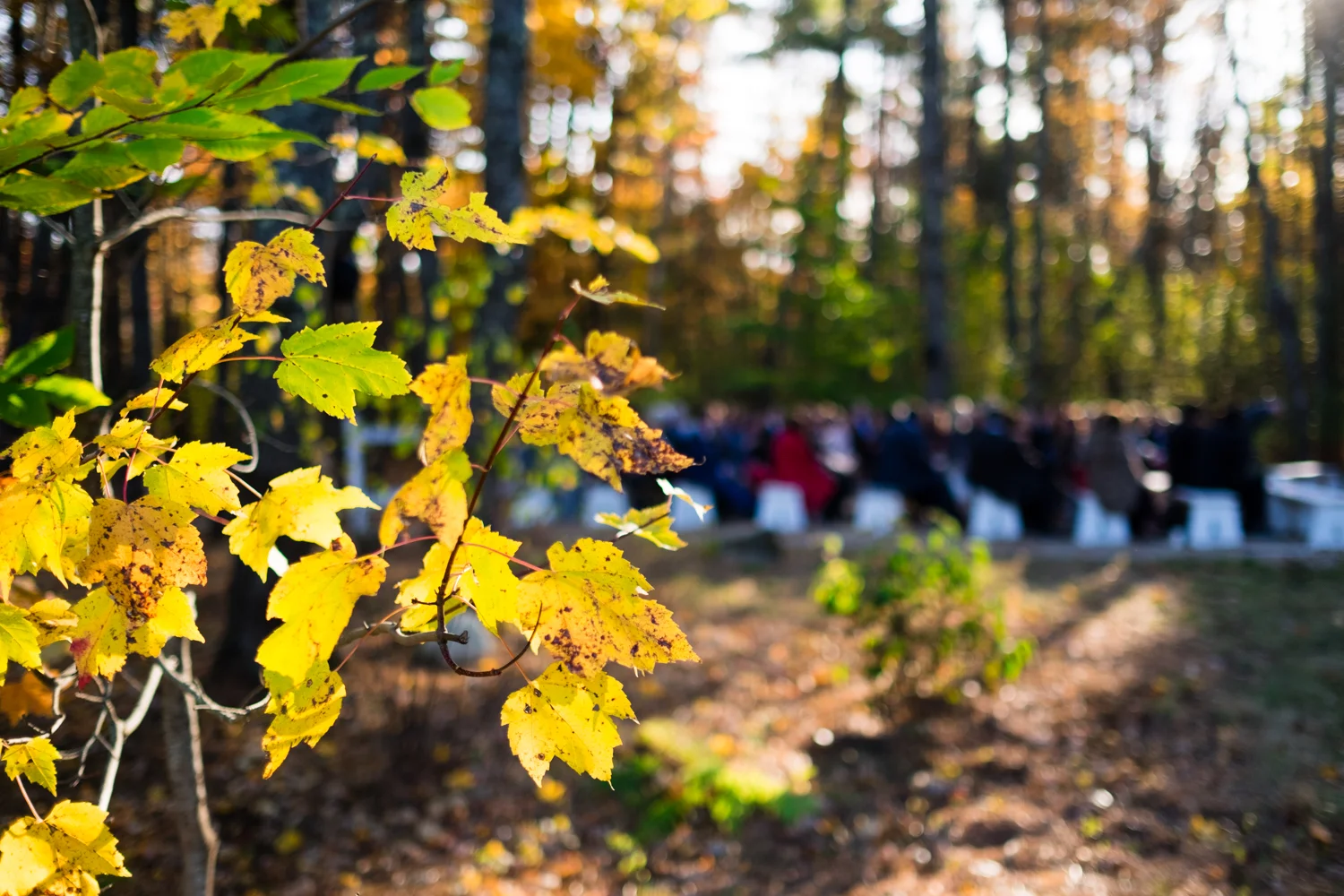 Kim_Andrew_Flanagan_Farm_Maine_Wedding-43.jpg