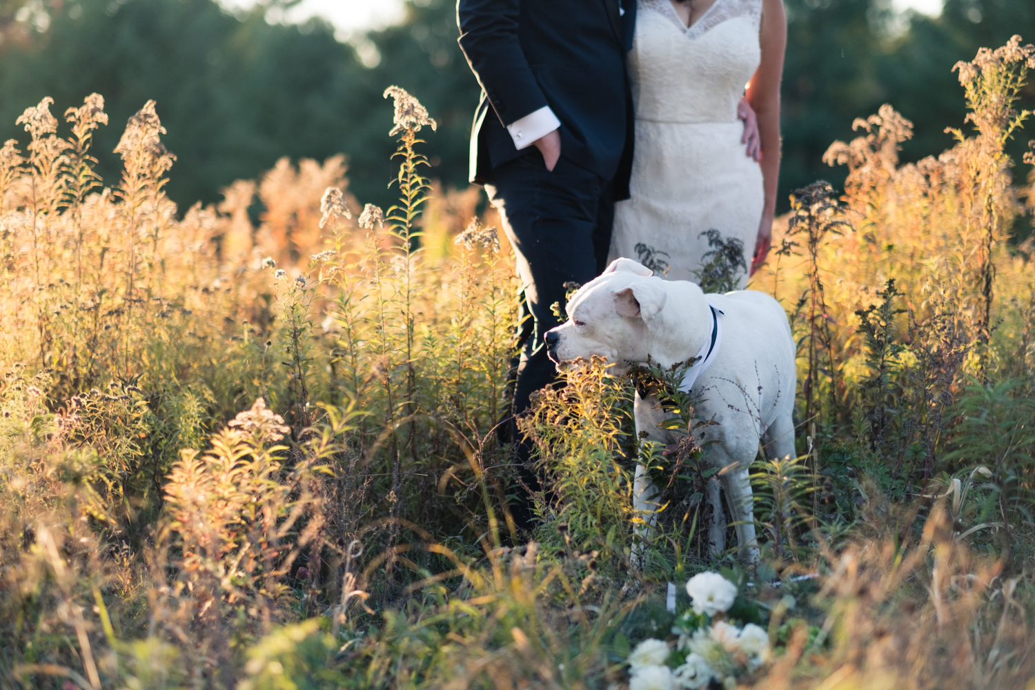 Kim_Andrew_Flanagan_Farm_Maine_Wedding-60.jpg