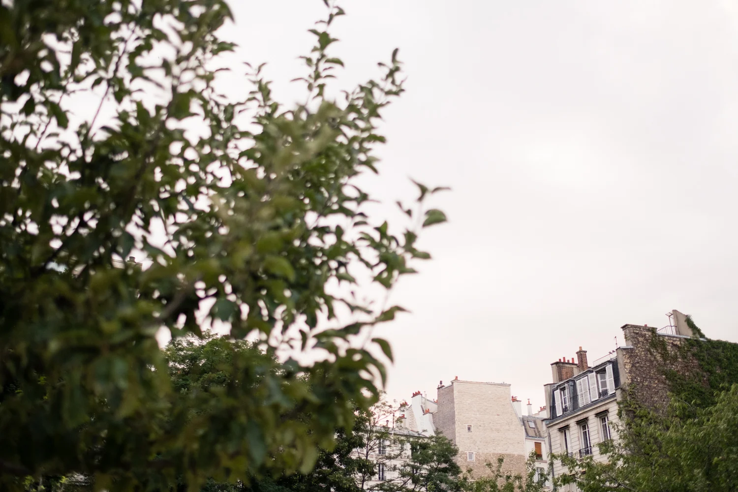 France_July_2017-102.jpg