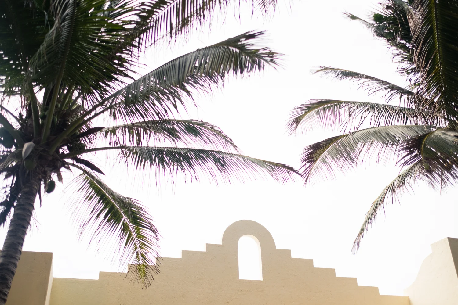 Bree_Peter_Mexico_Wedding-1.jpg