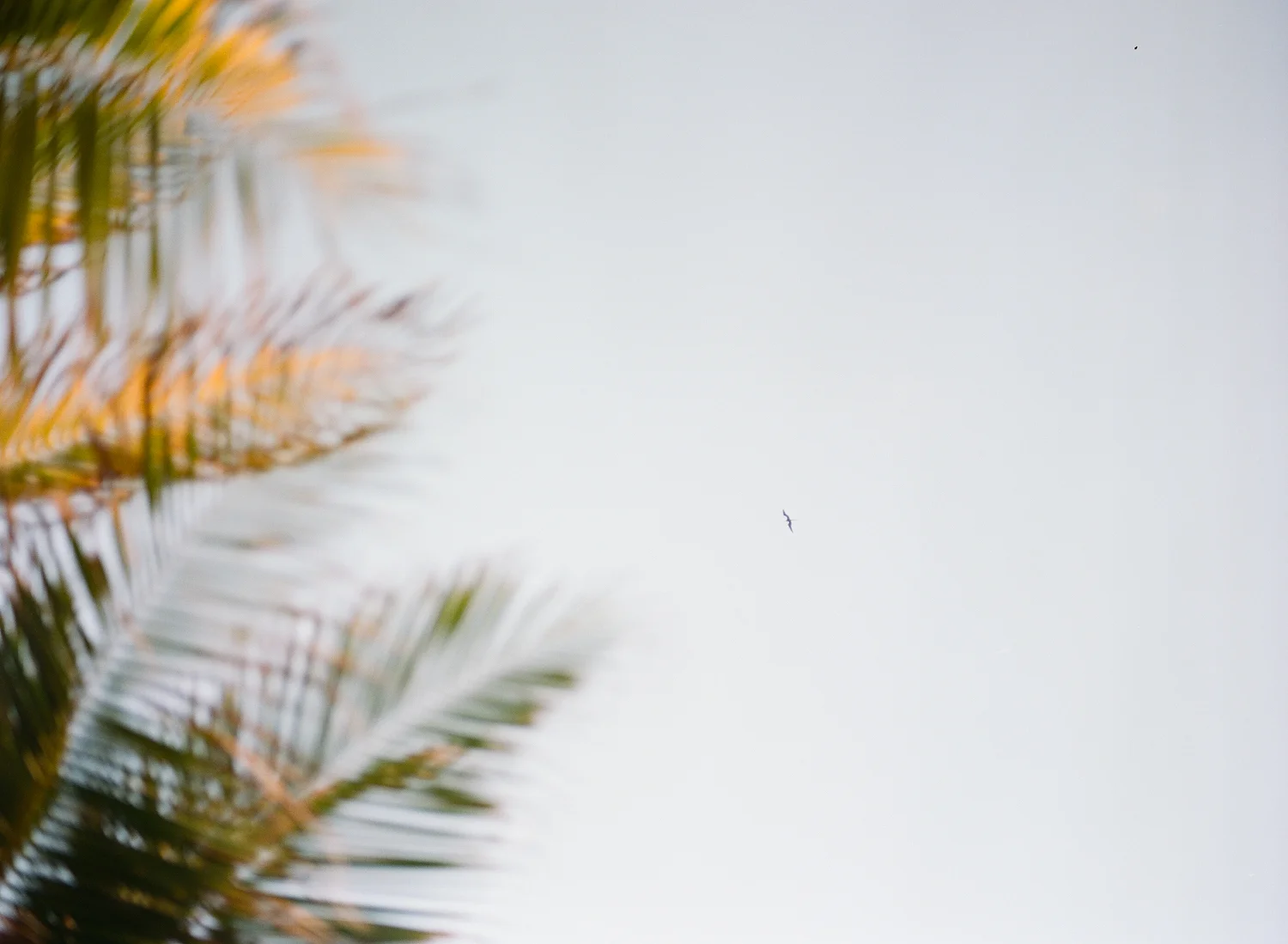 Bree_Peter_Mexico_Wedding-27.jpg