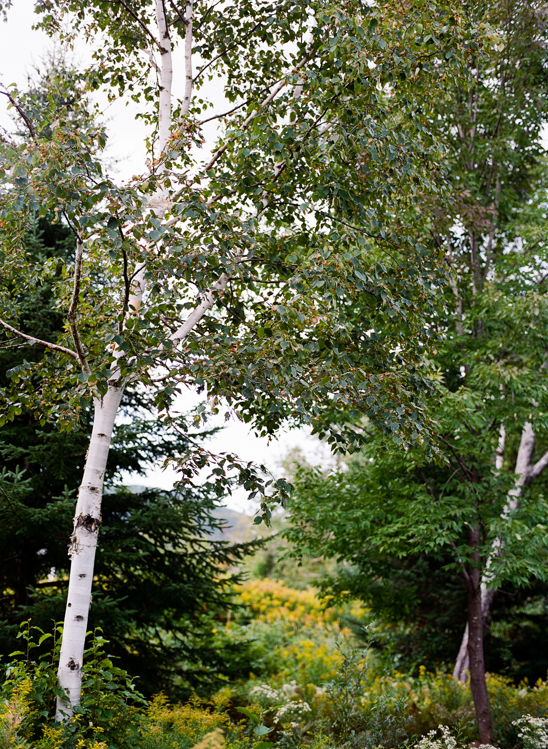 Jen_Dan_Sugarloaf_Maine_Wedding-1.jpg