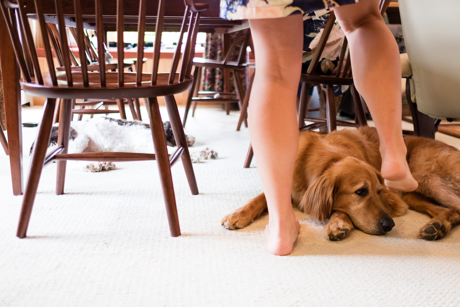 Jen_Dan_Sugarloaf_Maine_Wedding-14.jpg