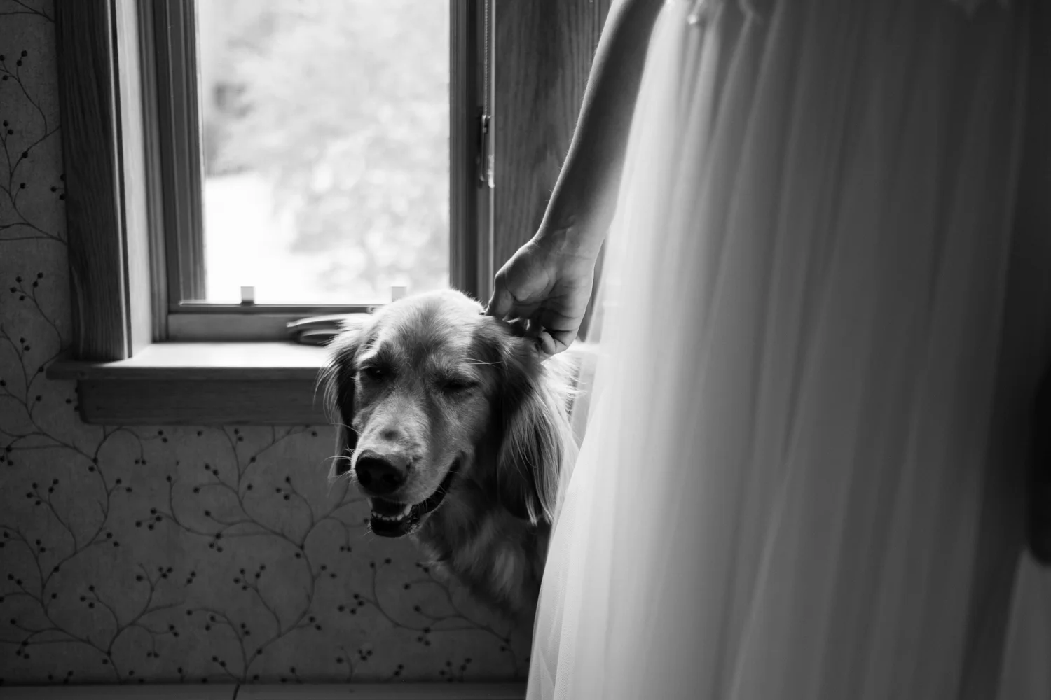 Jen_Dan_Sugarloaf_Maine_Wedding-48.jpg