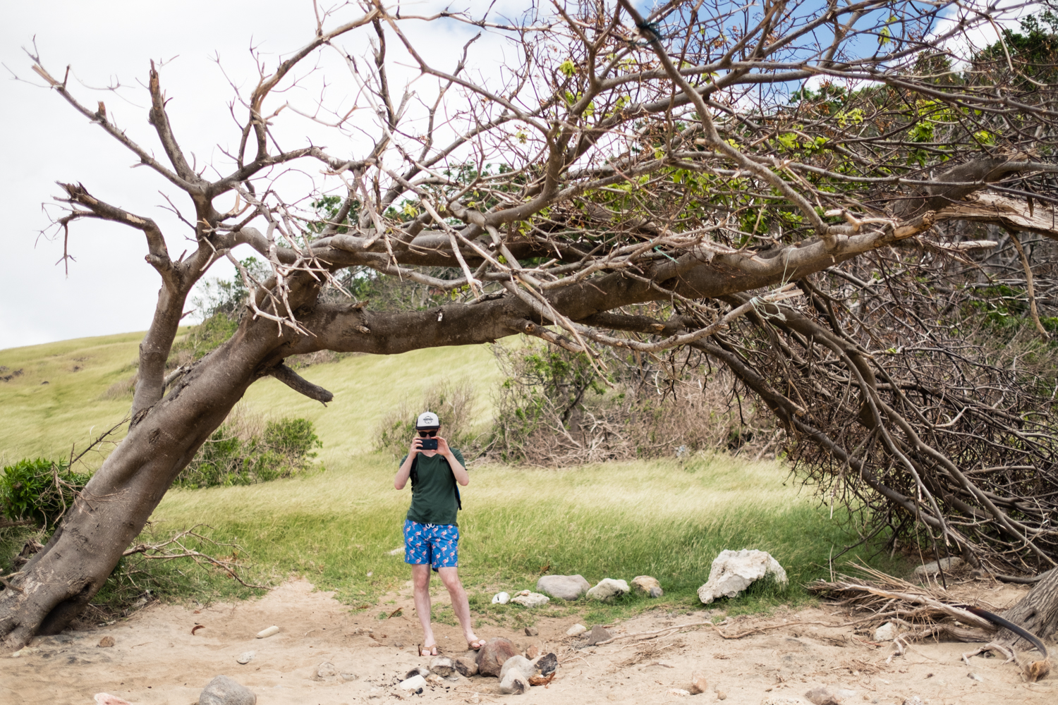 Guadeloupe_2017-55.jpg