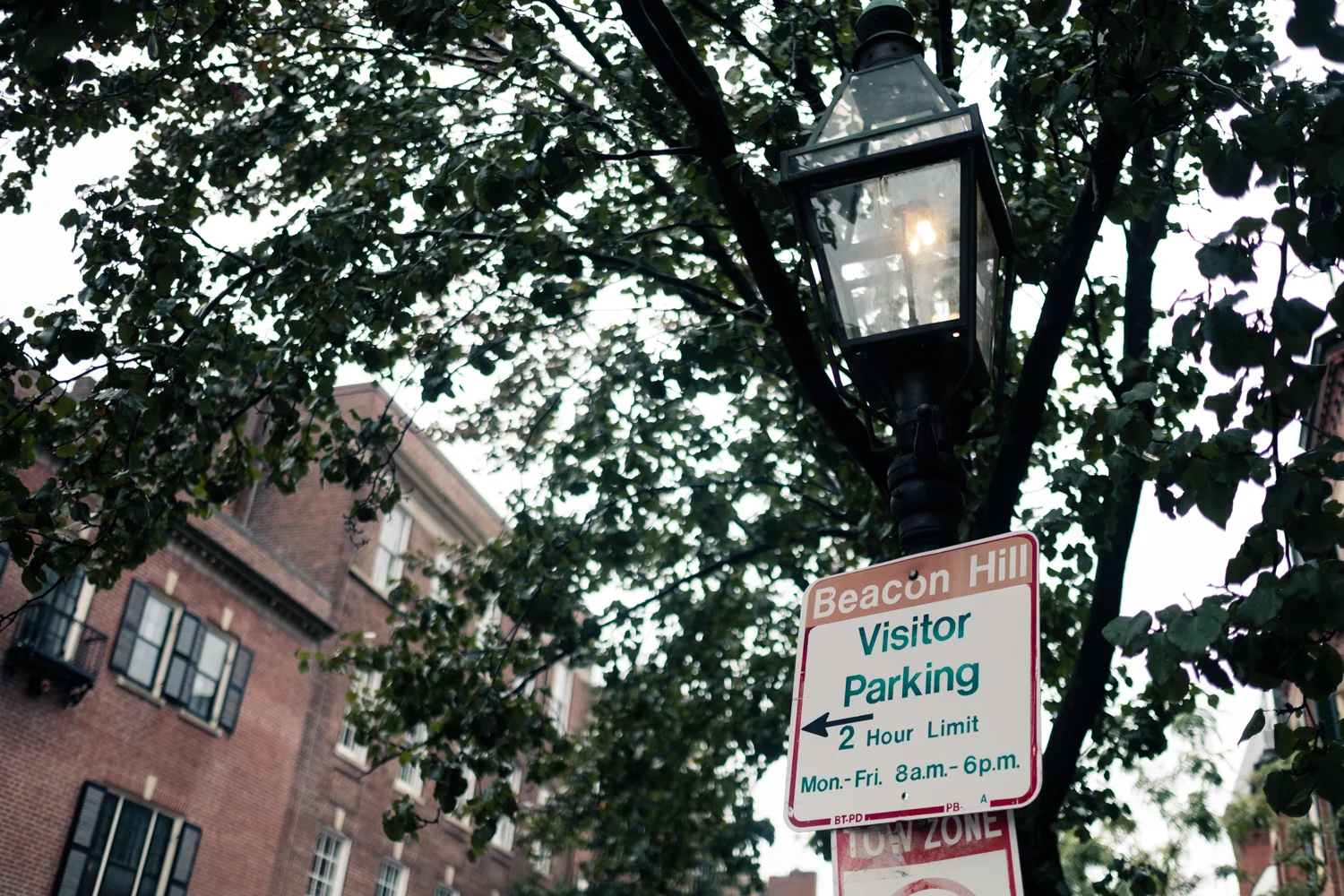 Boston_Common_Wedding-1.jpg