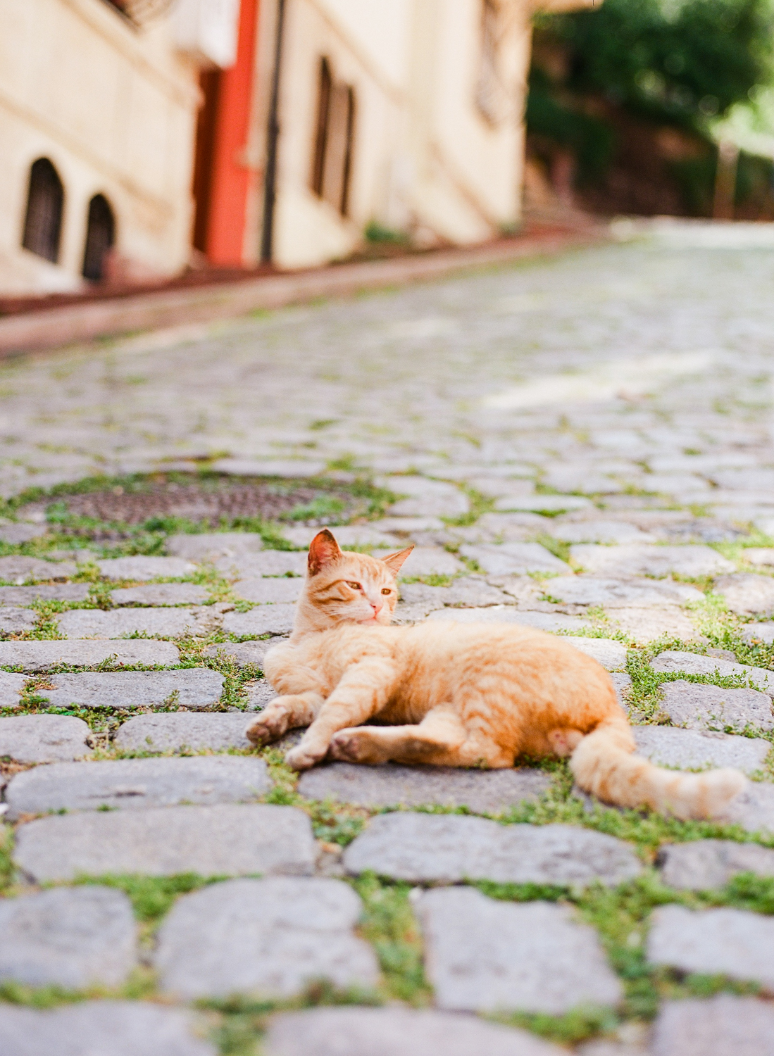 Istanbul_2018-45.jpg