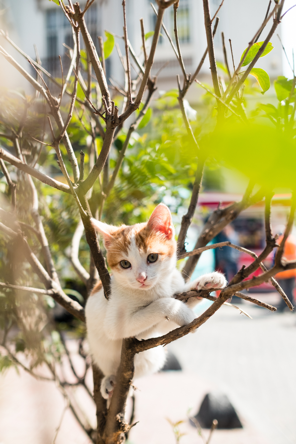 Istanbul_2018-53.jpg