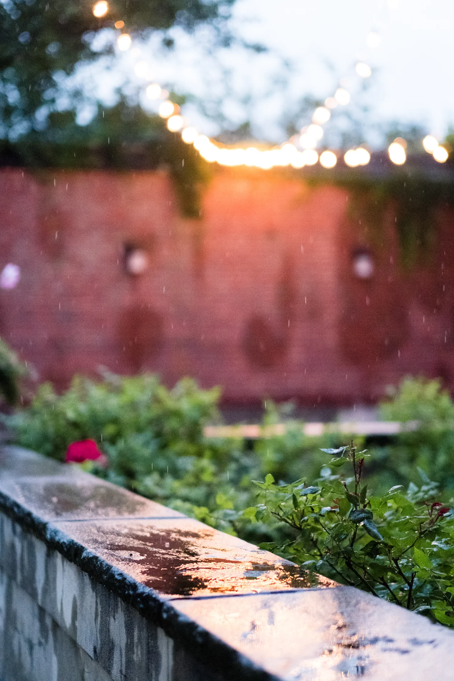 Katelyn_Jon_Misselwood_Wedding-119.jpg