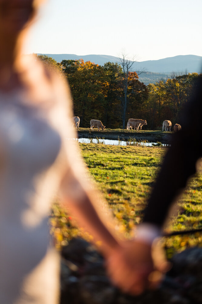 White Gates Farm Wedding New Hampshire-71.jpg