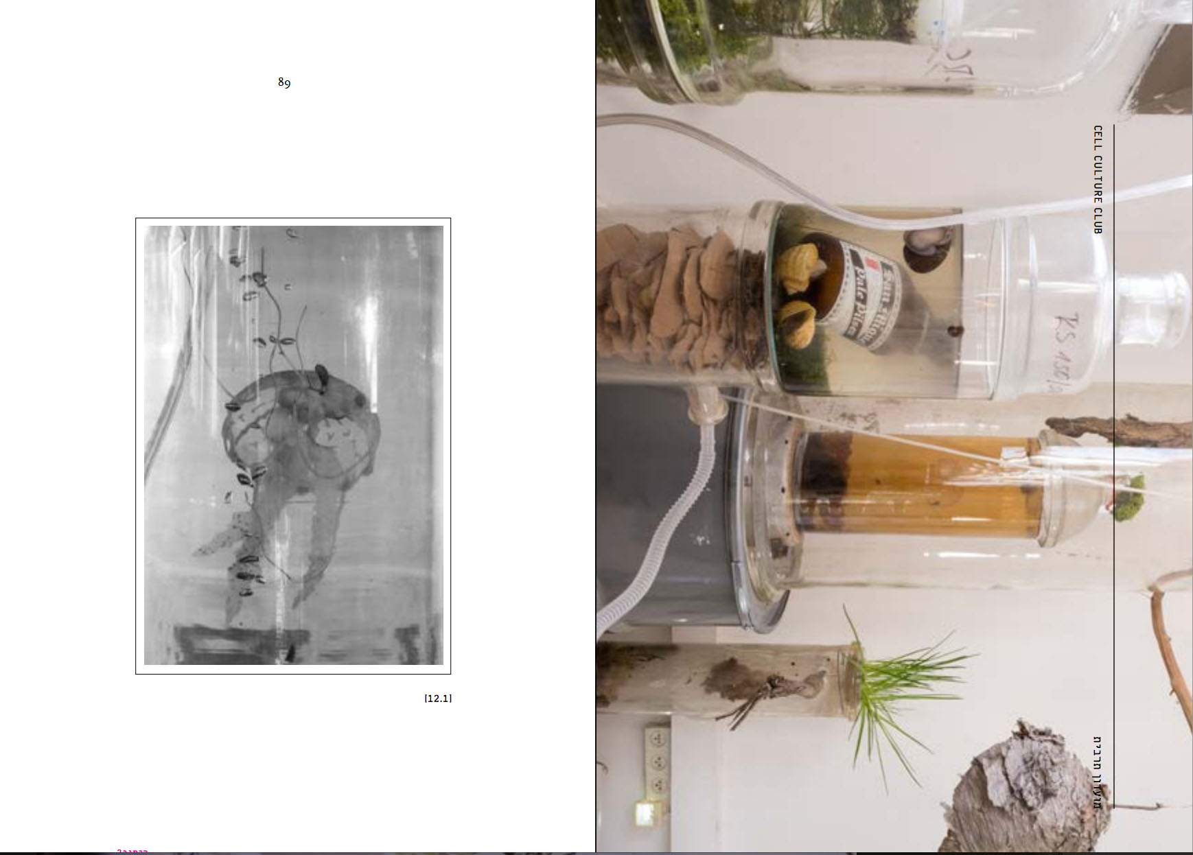Artist Book- Cell Culture Culub