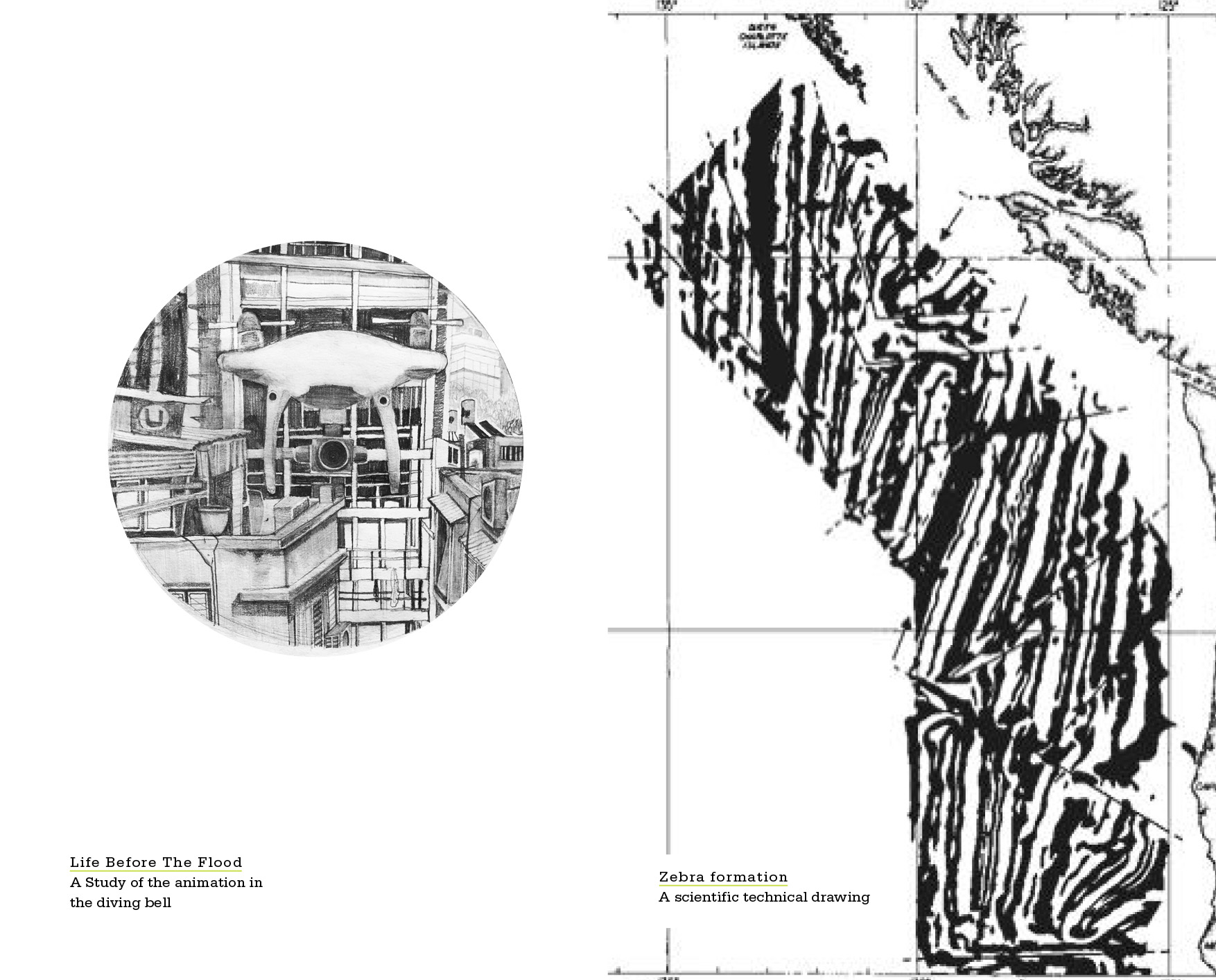 4Alroy_Zebra Formation and a view from my window_Drawing on paper and found footage_2017_21x29.7.jpg