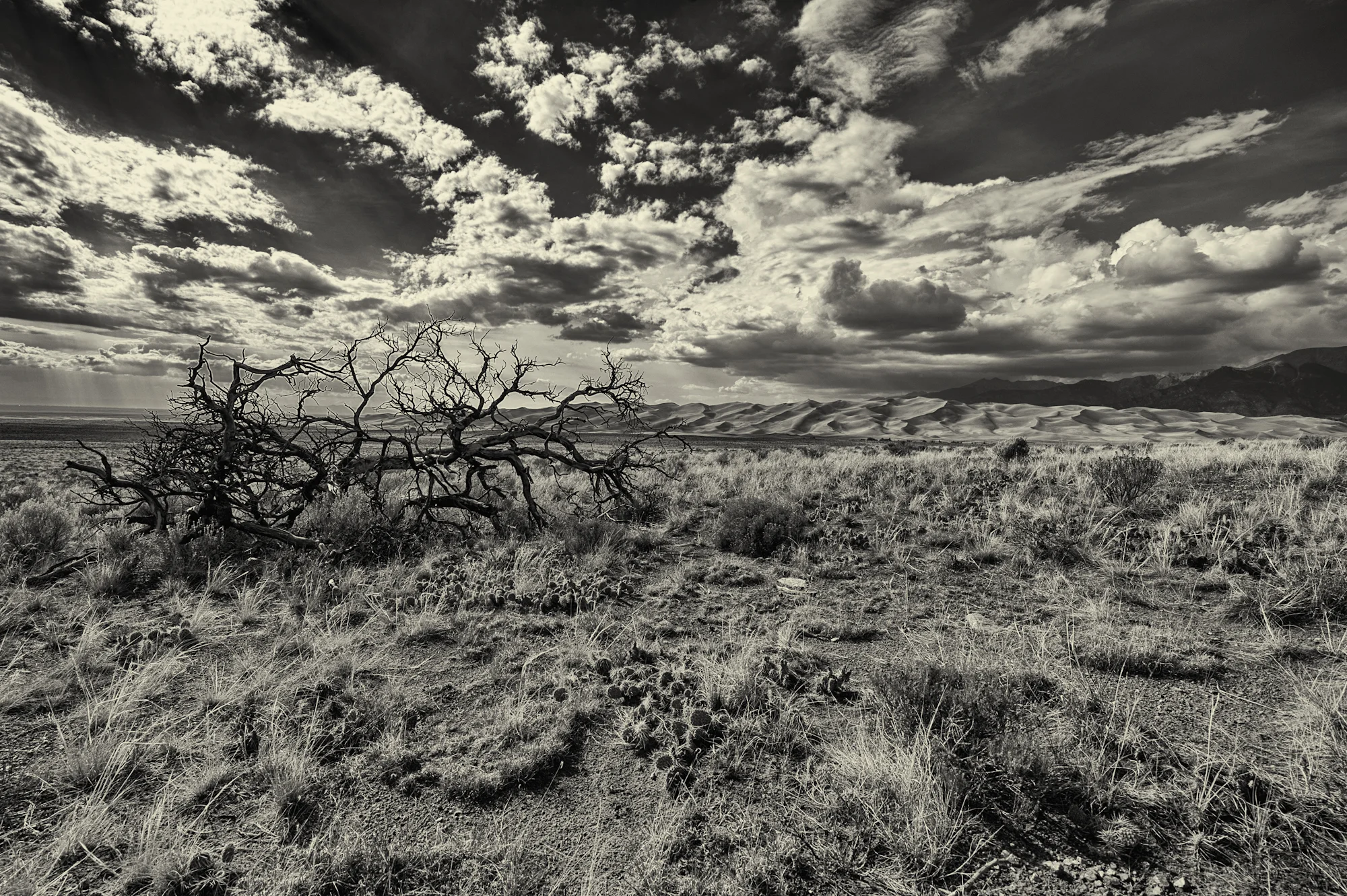 _MHP5473-Edit