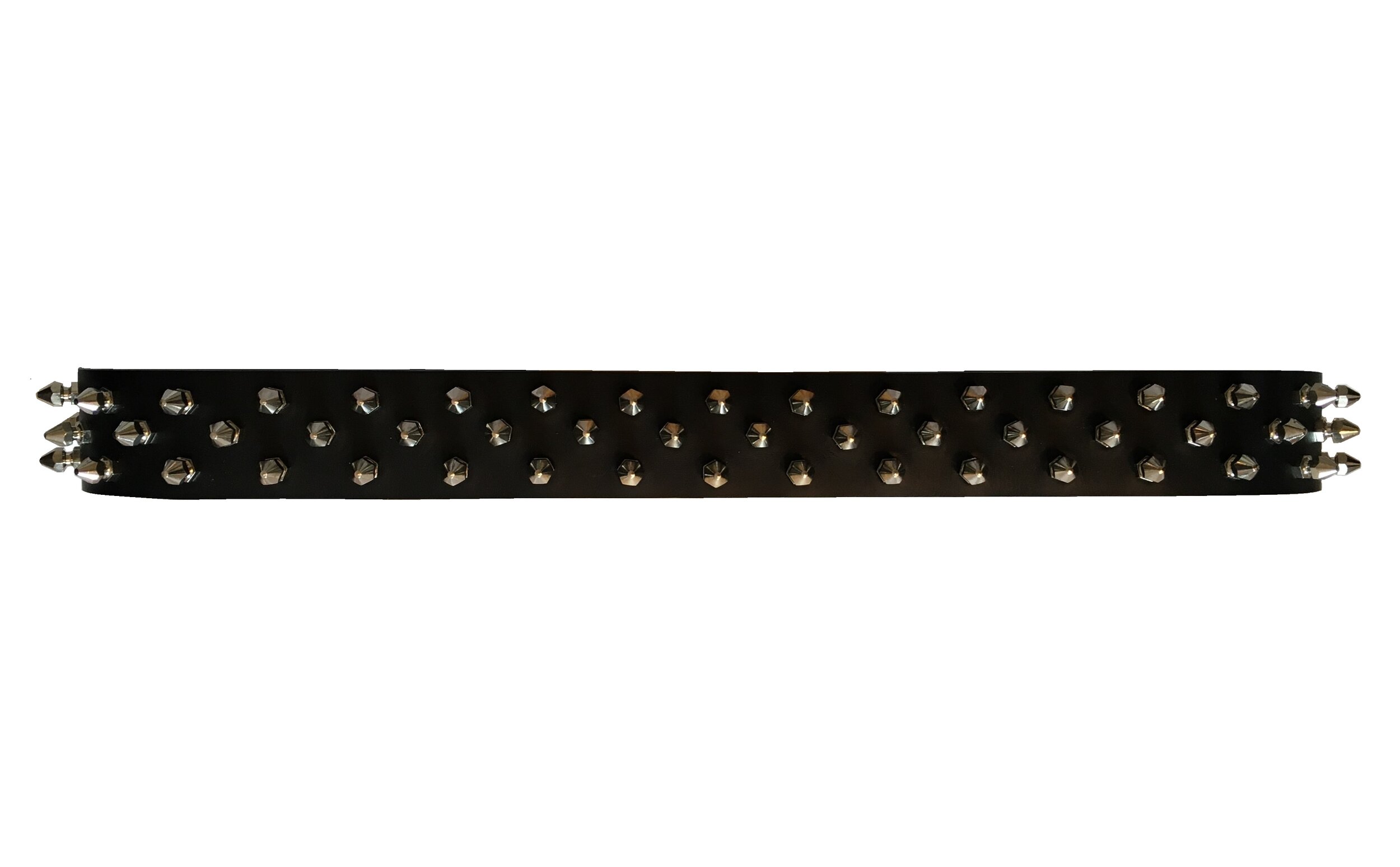exotica belt 2.JPG