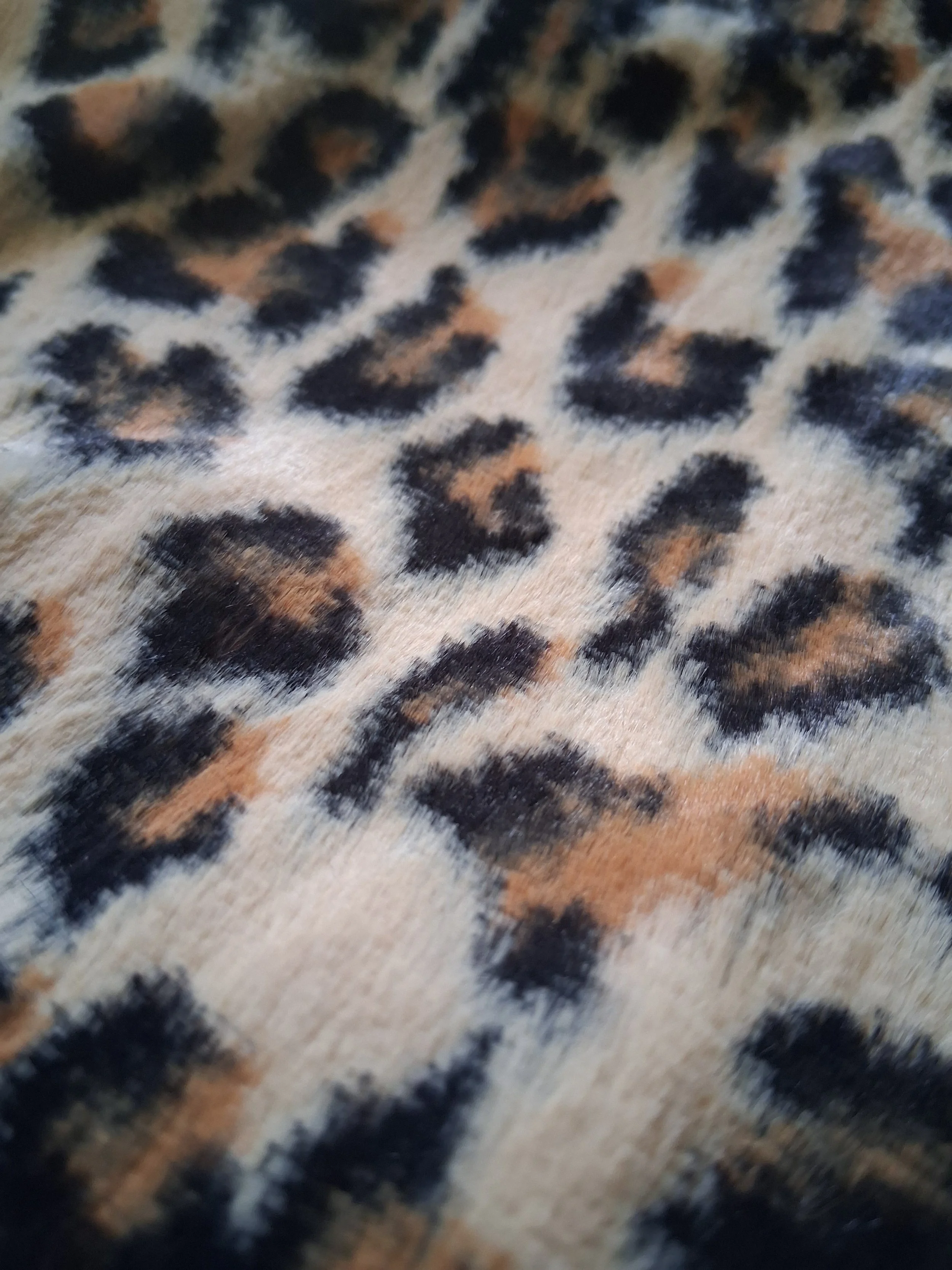 PRE-ORDER Wildkat Teddy Boy Cap- Leopard