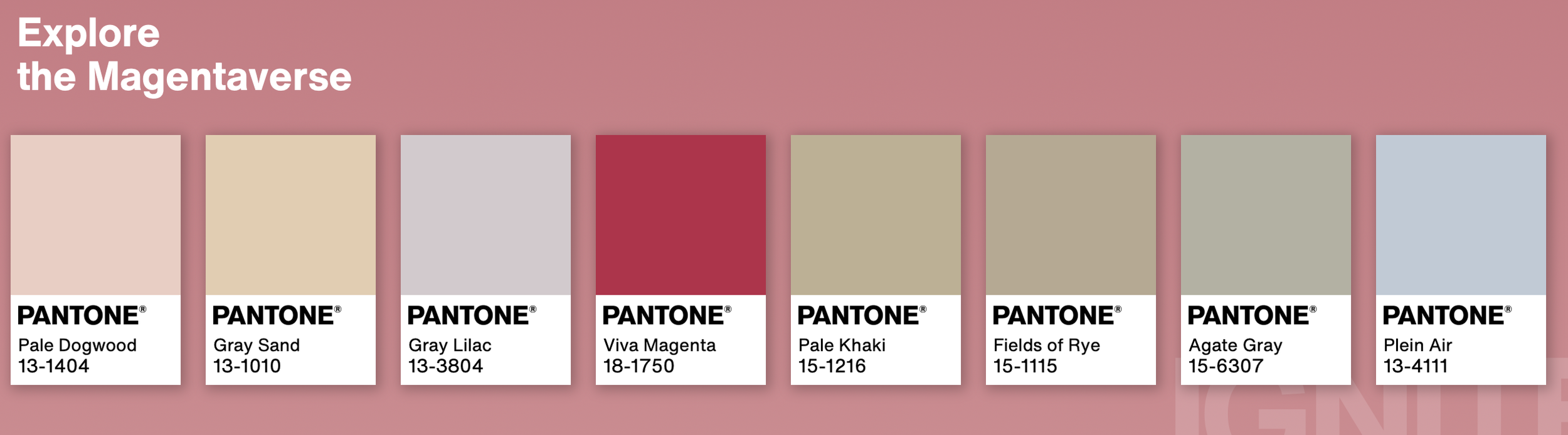 PANTONE® USA  Pantone Color of the Year 2023 / Introduction
