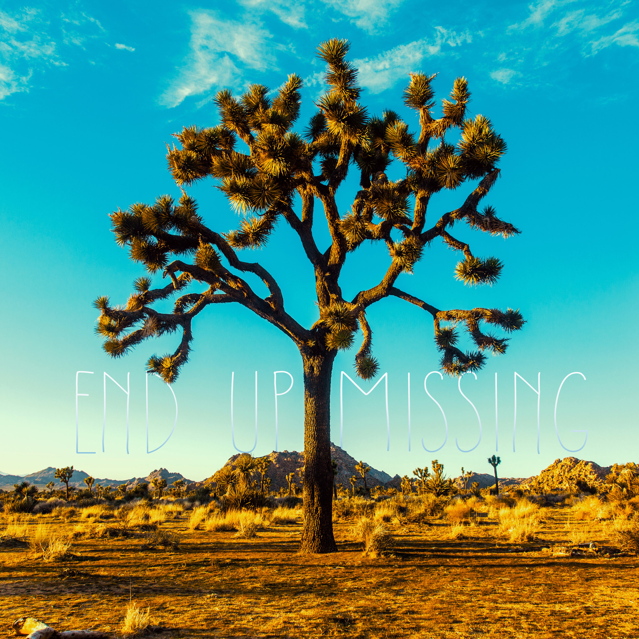 End Up Missing - Yanni Burton .jpg