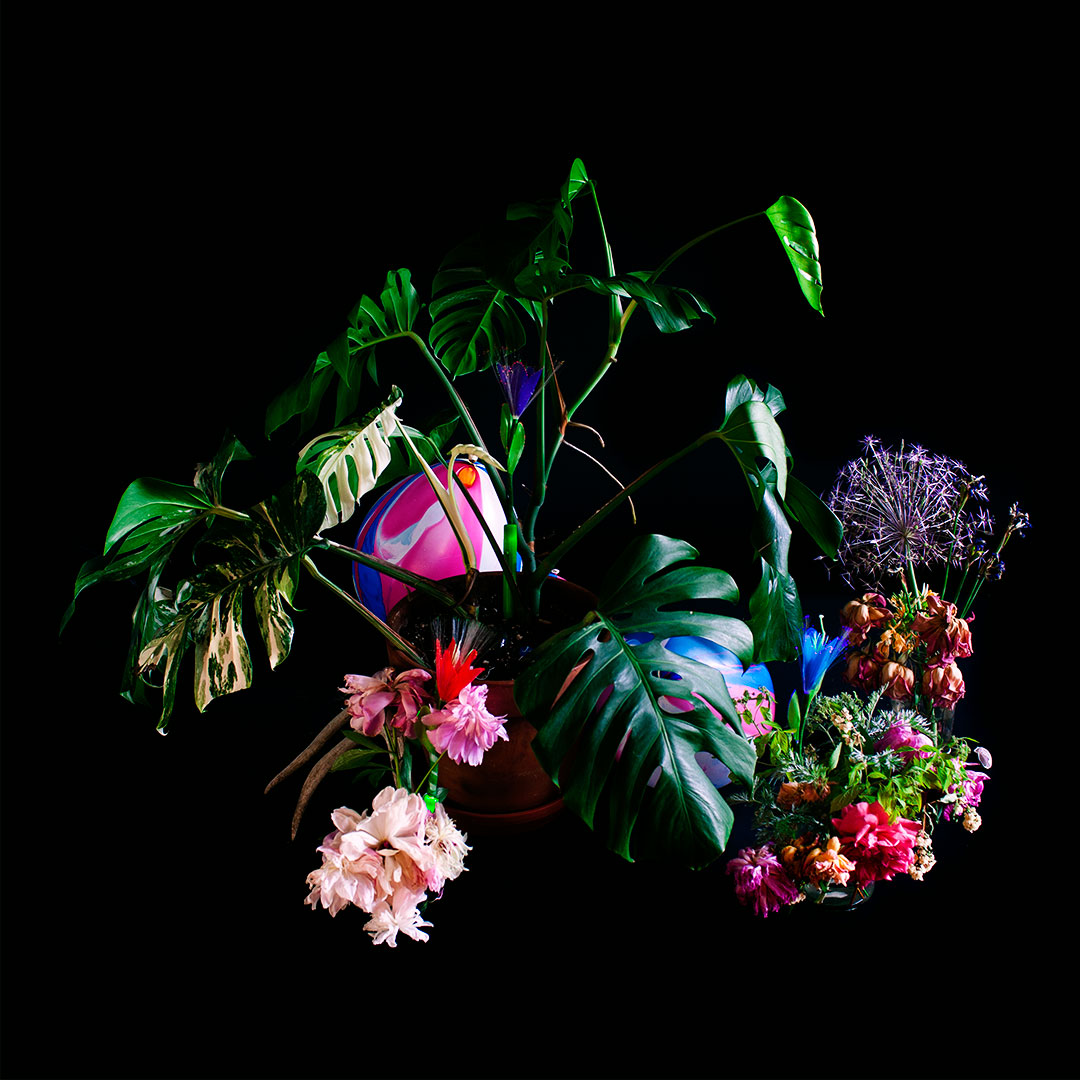 LRFloralStillLife.jpg